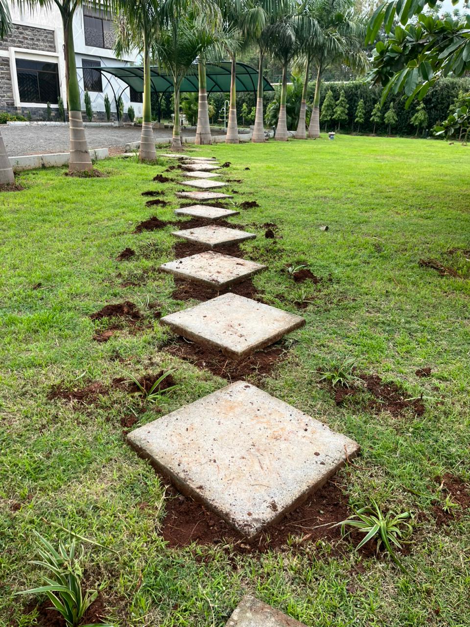 Stepping-stone path across a palm-lined lawn, Kisumu residence