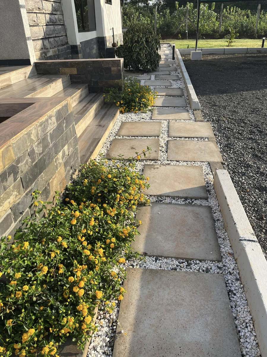 Stone steps bordered by flowering shrubs