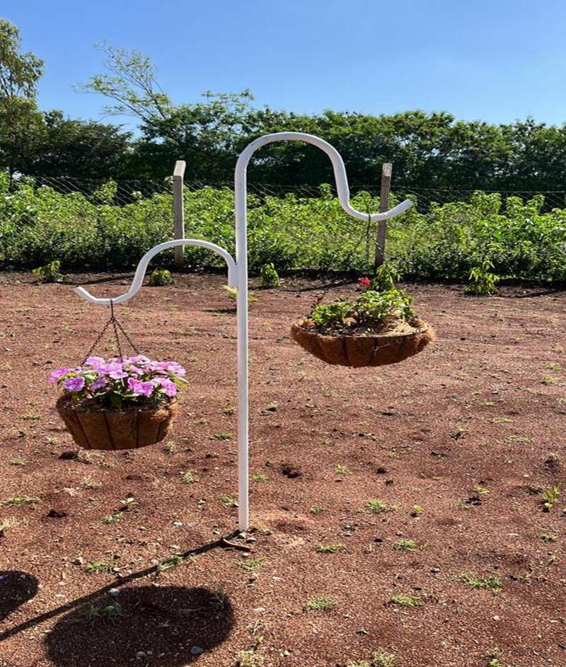 Hanging coco-liner baskets with brackets, planted with petunias